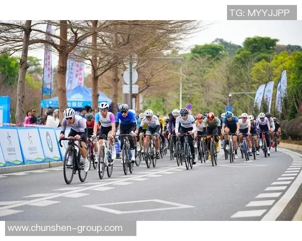 骑行之美：探寻自行车文化与城市发展的深度融合与未来潜力